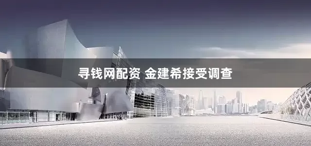 寻钱网配资 金建希接受调查