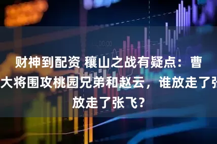 财神到配资 穰山之战有疑点：曹营八大将围攻桃园兄弟和赵云，谁放走了张飞？